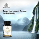 turner-green-lipped-mussel-oil-omega-3-supplement-capsules-6-pack-360-count-06-47b9e3888684fba8486b4a6494ba1242.jpg