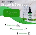 liquidhealth-chlorophyll-liquid-drops-deodorant-detox-energy-immune-support-2-fl-oz-04-9b5ced6dca050d43bed1fe246d35c379.jpg