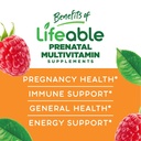 lifeable-prenatal-multivitamin-with-12-vitamins-and-minerals-90-gummies-03-74c4874295cc4d15e3e239279ede601f.jpg