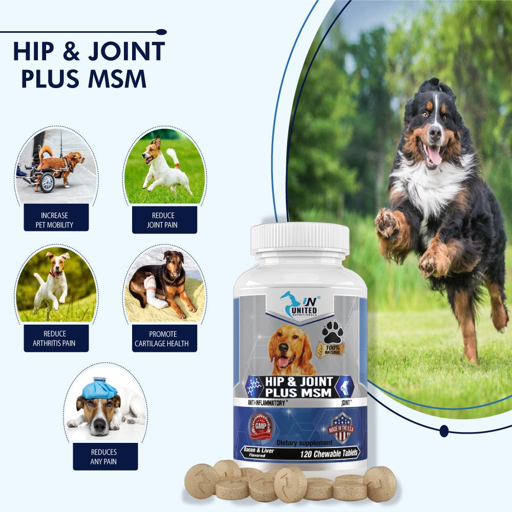 Dog Hip & Joint Support - Glucosamine, MSM, Chondroitin