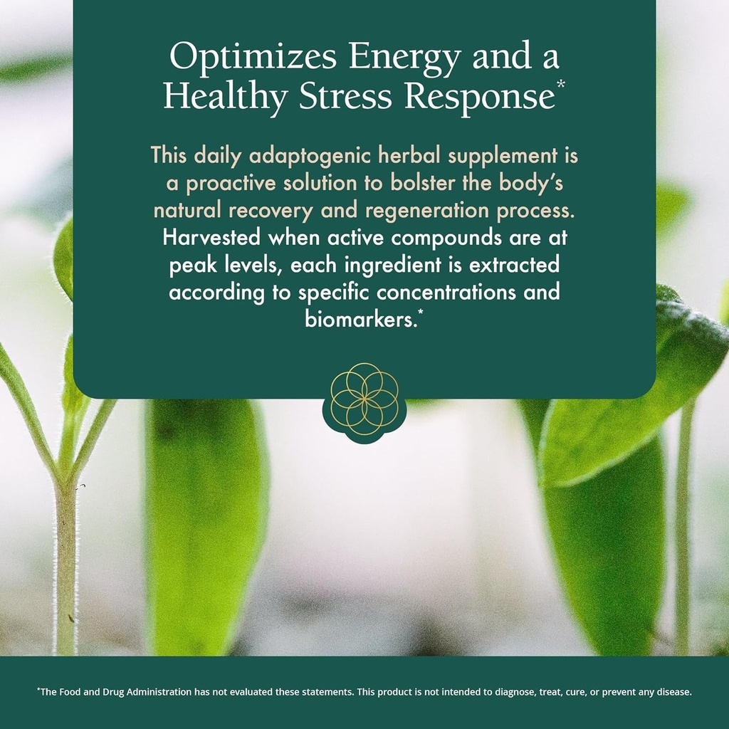 Power Adapt Supplement | Adrenal & Endocrine Support