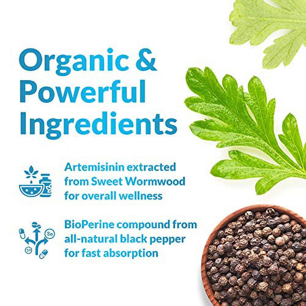 Artemisinin with Bioperine - 120 Vegan Capsules
