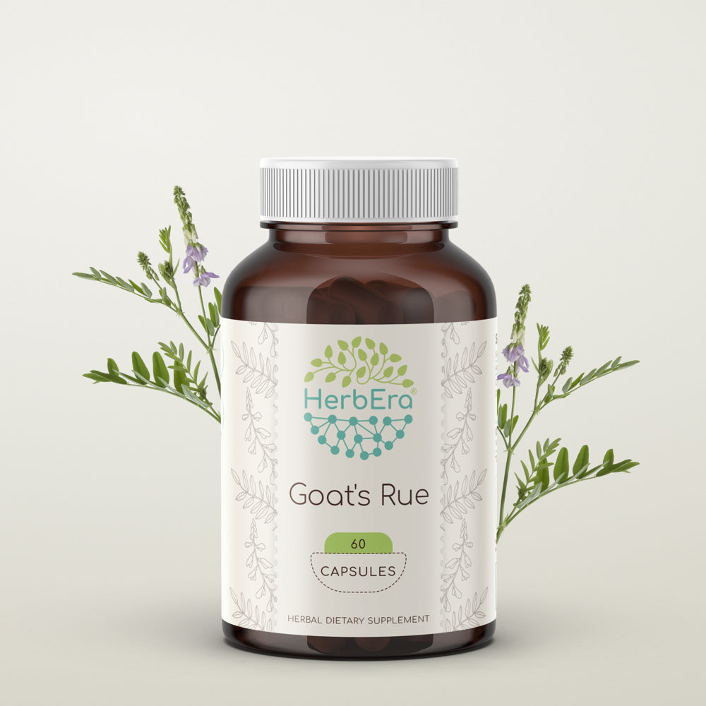 Goat'S Rue 60 Capsules, 500 Mg, Organic Goat'S Rue (Galega Officinalis) Dried Herb