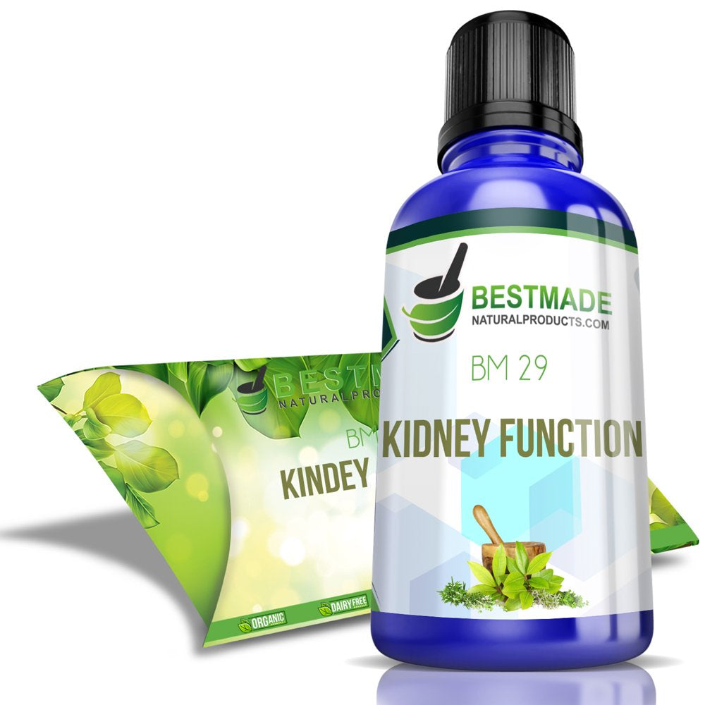 Bestmade BM29 Kidney Support - Natural Supplement