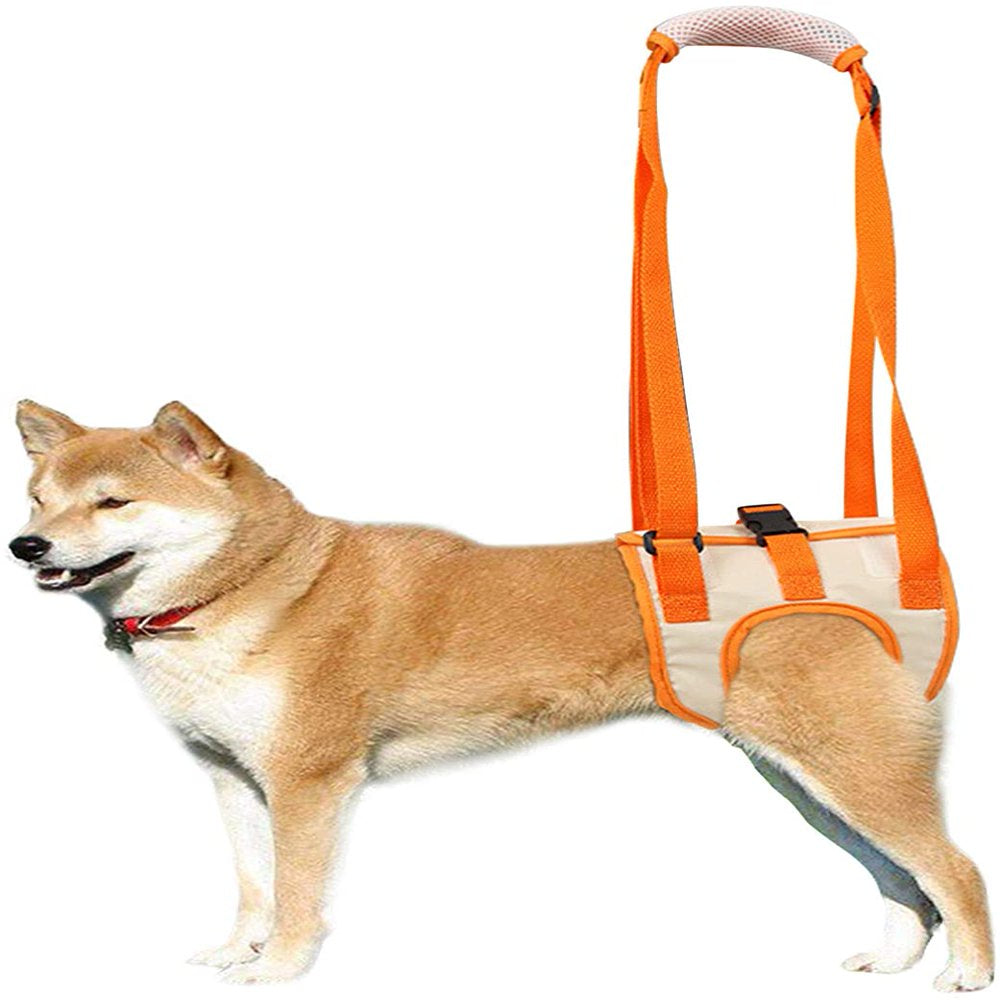 Dog Lift Harness, Pet Rear Support Aid Veterinarian Approved Sling for ...