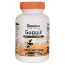 Himalaya Guggul, Cholesterol Supplement for Healthy LDL, HDL and Triglyceride Levels, 750 Mg, 60 Capsules