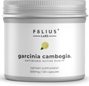 Pure Garcinia Cambogia Extract Supplement 500Mg - 100% Natural HCA Extract Concentrated to 60% - Supports Healthy Digestion and Metabolism - 120 Capsules